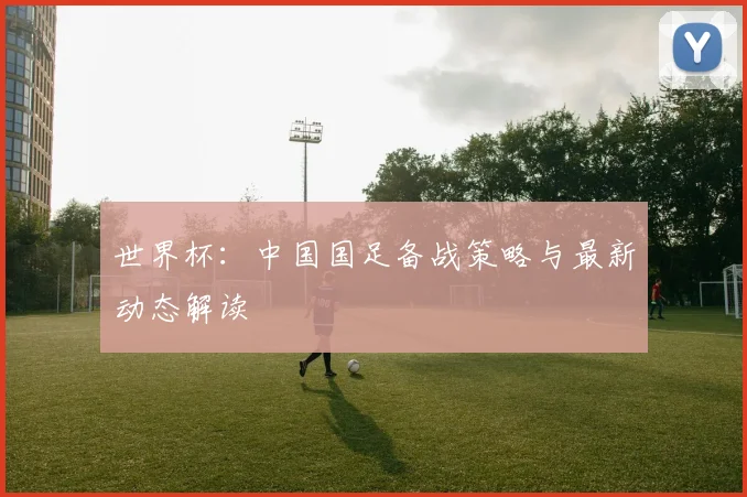 世界杯:中国国足备战策略与最新动态解读