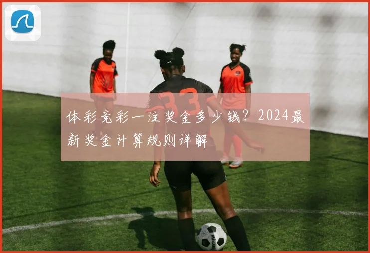 体彩竞彩一注奖金多少钱？2024最新奖金计算规则详解