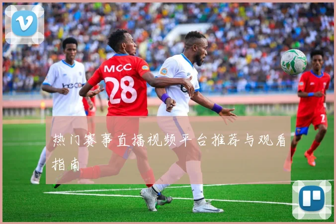 热门赛事直播视频平台推荐与观看指南